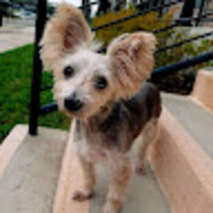 Meet your Posher, Mary